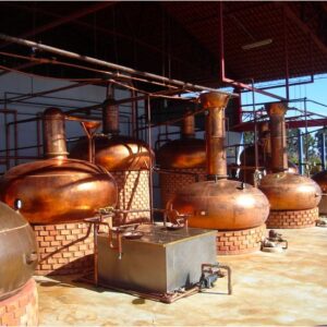 Técnico em Açúcar e Álcool