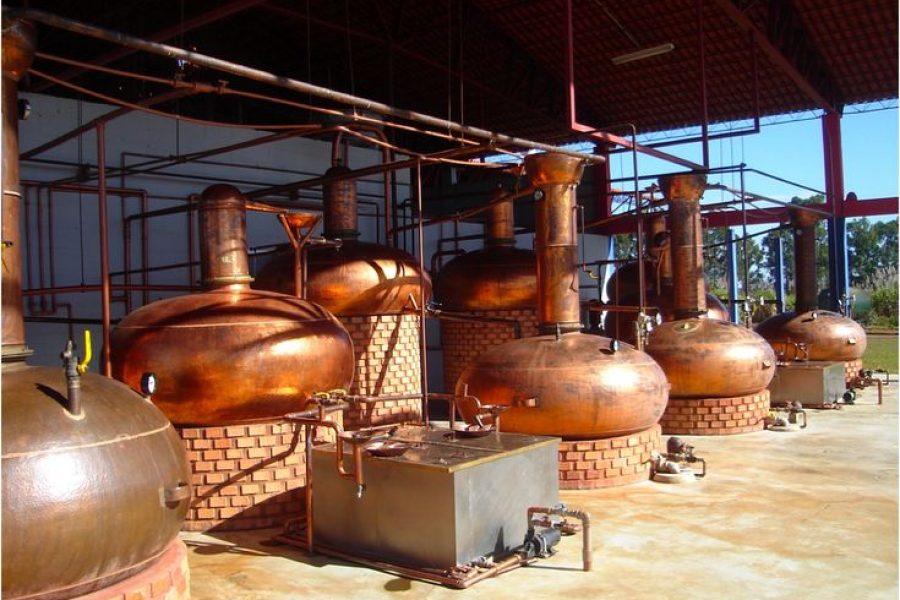Técnico em Açúcar e Álcool